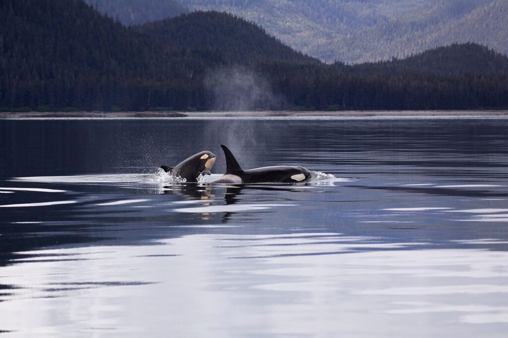 On Board Regent Seven Seas' Itineraries and All-Inclusive Immersive Experiences 4 23IMAGE
