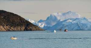 Expedition To The Edge Of The Ice Sheet